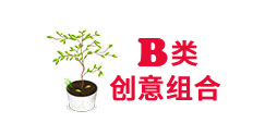 重慶創(chuàng)意組合植物租賃